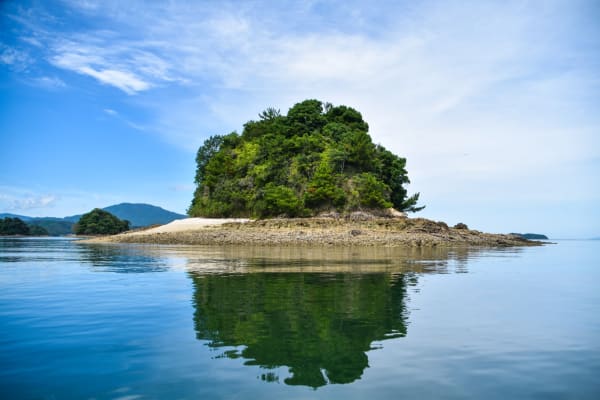 An Insider’s Guide to Unzen Amakusa National Park