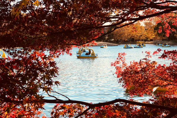 Lê Thị Hồng Phượng