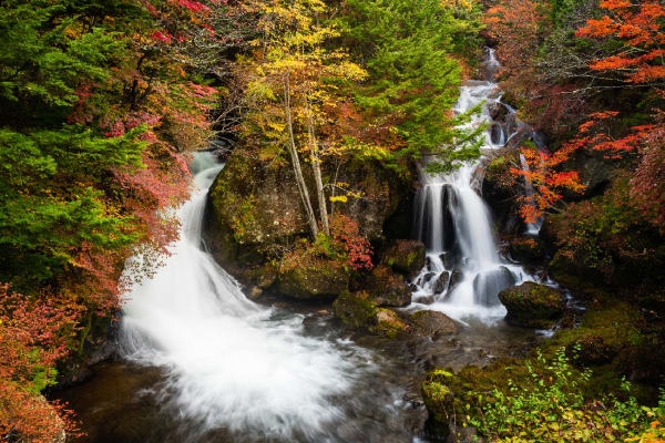 Đào Thị Hương Giang