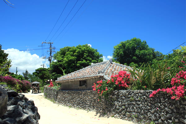 Taketomi Island: Nostalgic Village Scenes