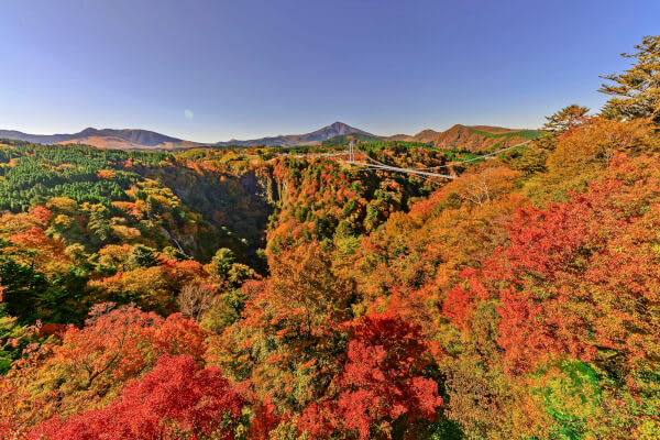 Kokonoe Yume Otsurihashi Bridge, Oita
