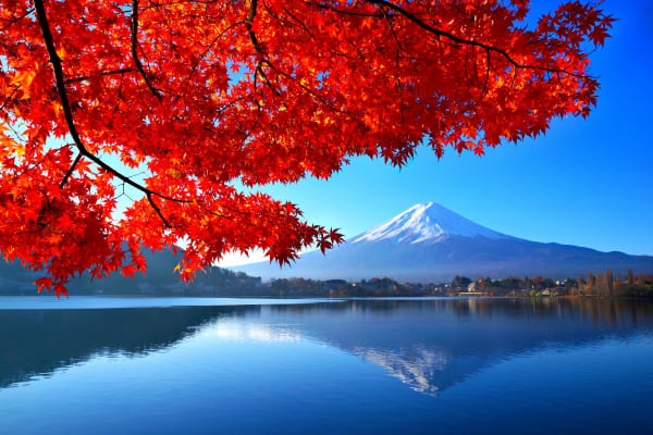 Exploring Canada’s Japanese Sister Cities