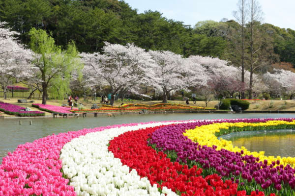 Hamamatsu Flower Park