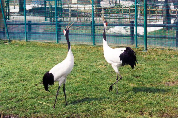 Crane Nature Park