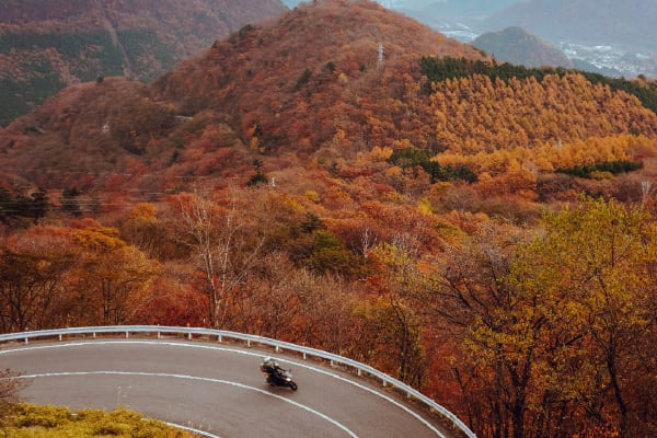 Phạm Diệu Hồng