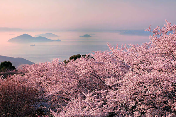 Discover Japan: Where Art Meets Nature [CNN]