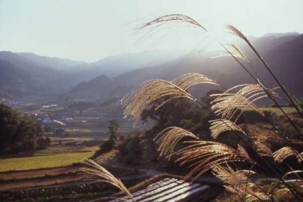 Aus dem Vortrag: Stunning Views - Tradition, KANSAI, Japan
