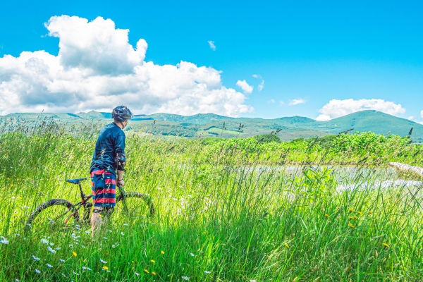 Full travel guide to Tohoku, Japan