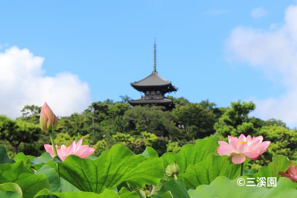 حديقة سانكيين