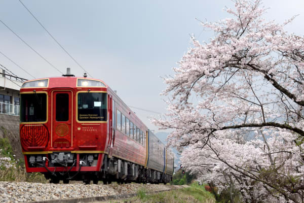 Scenic Railway Journeys | Travel Japan (Japan National Tourism Organization)