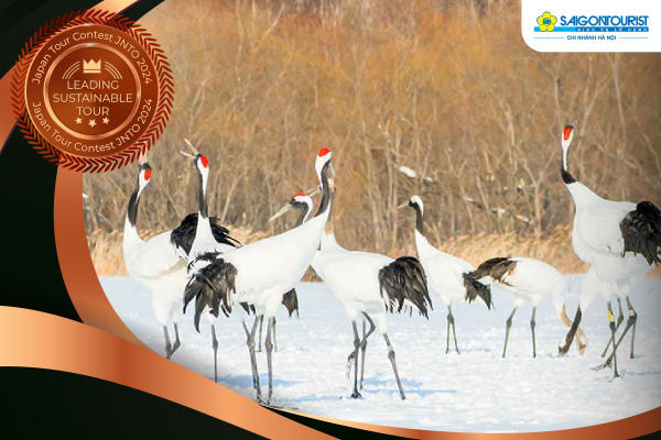 DREAMSCAPE ODYSSEY [TOKYO - HOKKAIDO]