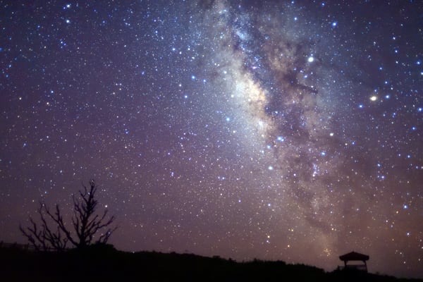 A natural planetarium, Iriomote-Ishigaki National Park