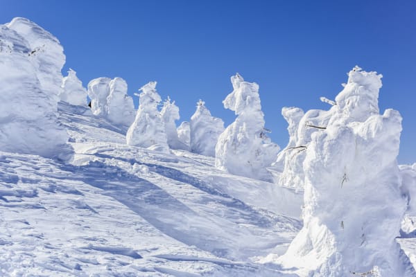 Zao snow monsters