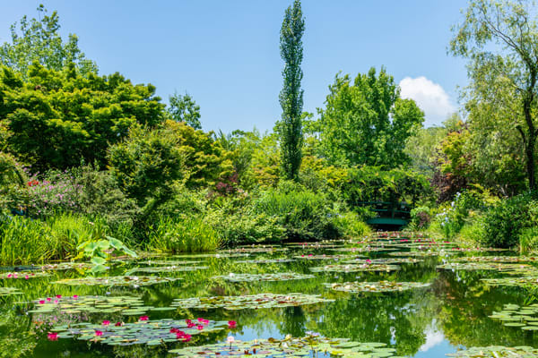 Monet’s Garden Marmottan, Kochi