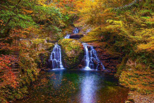 East Nara and Nabari Nature Trip