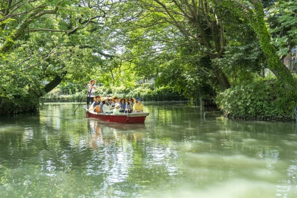 The Insider's Guide to Yanagawa