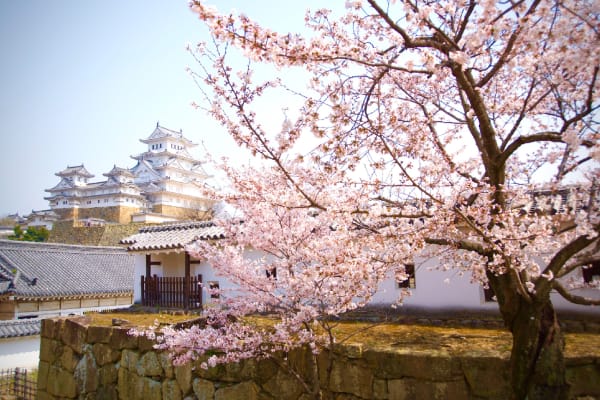 Nguyễn Hoàng An Nhiên