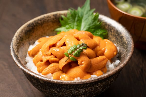 Sanriku’s specialty, sea urchin rice bowl