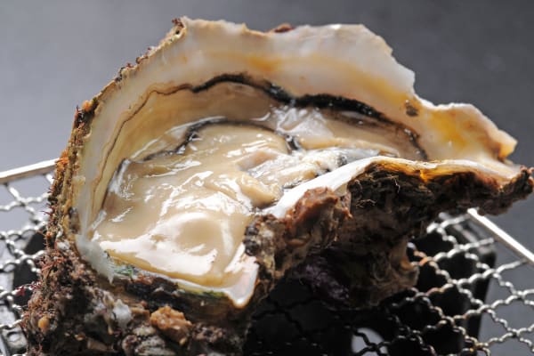 Fresh Oyster, Hiroshima