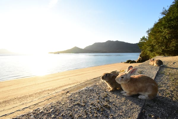 Okunoshima