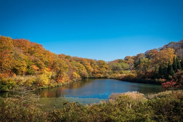 An Insider’s Guide to the Shinetsu Trail