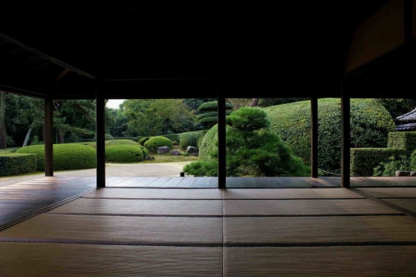 The Art of Japanese Tea Ceremony