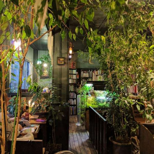 Viajes en el tiempo y amor en una cafetería mágica de Tokio