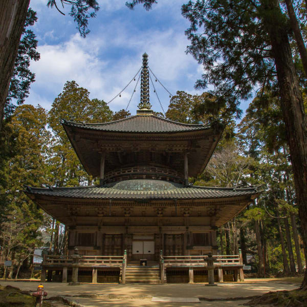 Ospiti dai monaci sul Monte Koya
