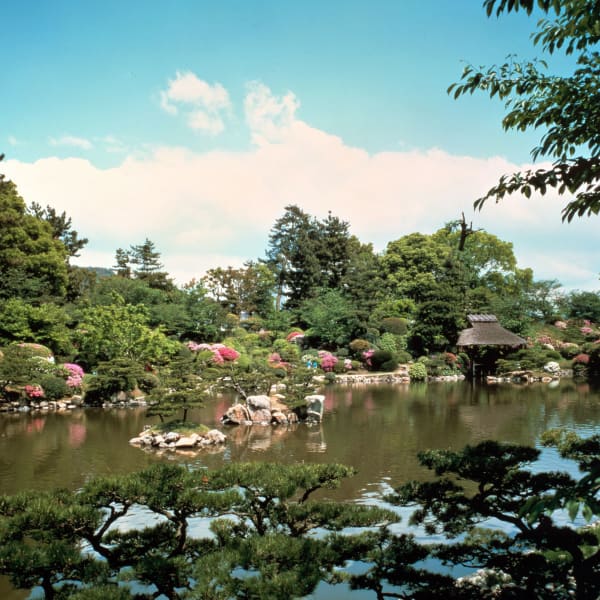 Virtuell nach Japan – Japanische Gärten, Kirschblütenzauber und vieles