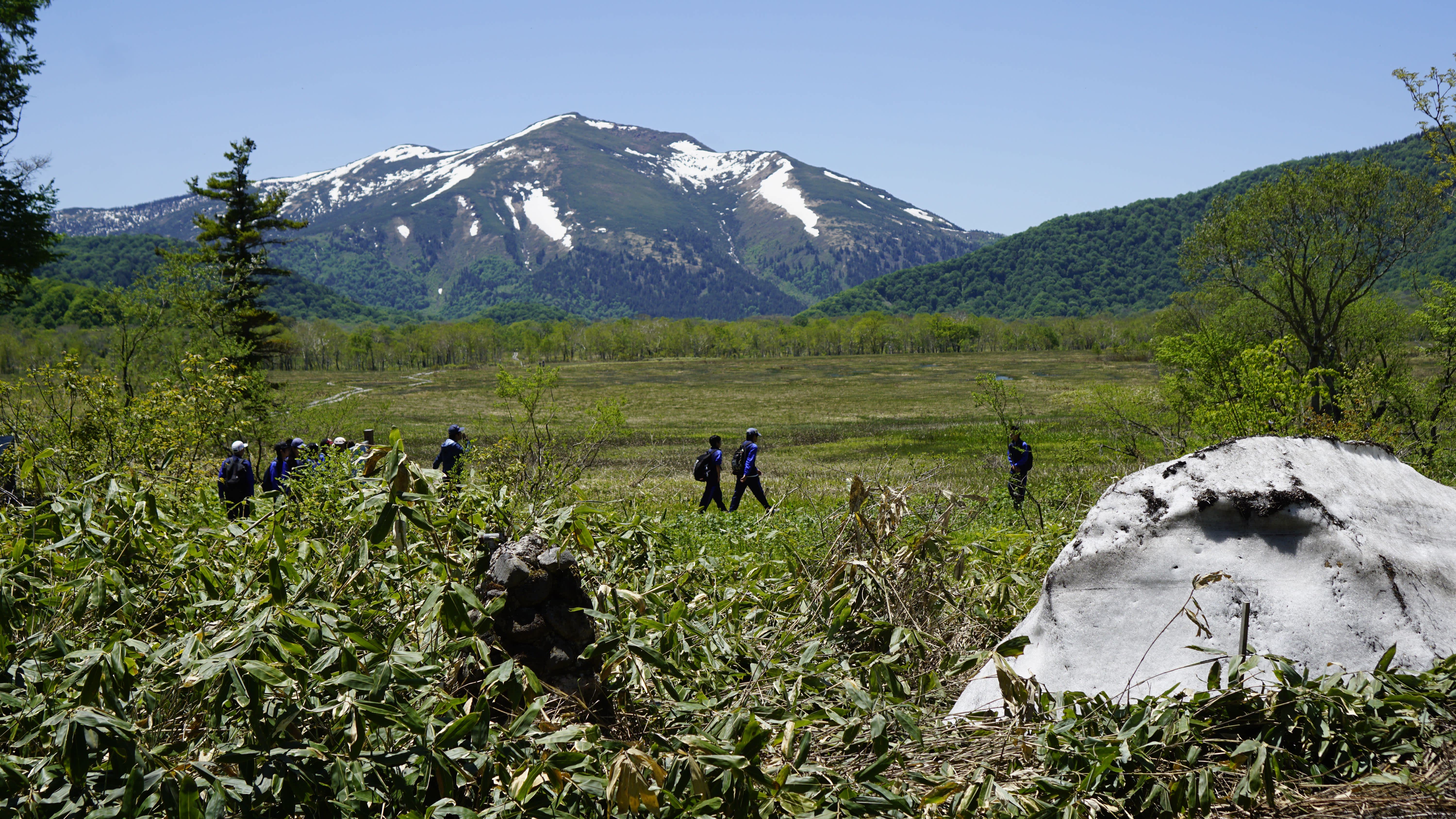 balade au parc national d’Oze au Japon