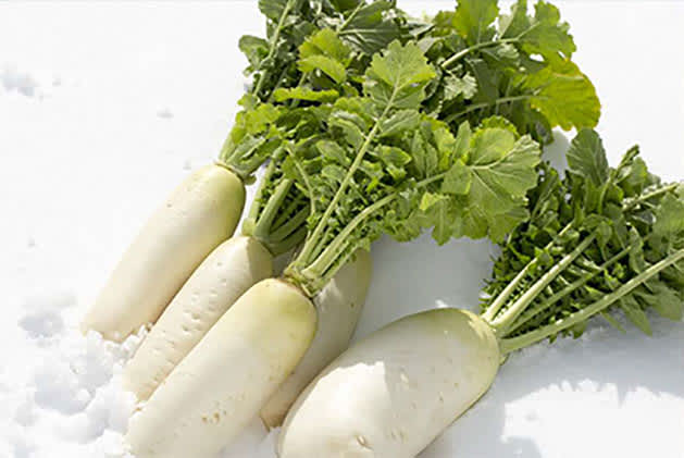 Vegetable in wintertime in TsunokawanoSato