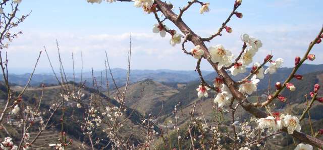 Yuasa-cho in Wakayama Prefecture