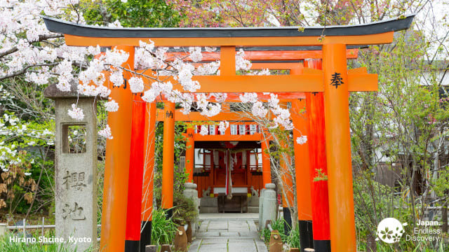 Bring Japan To Your Conference Calls With These Virtual Backgrounds Travel Japan Jnto