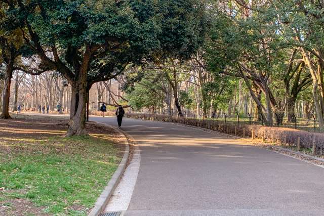 running tour of tokyo