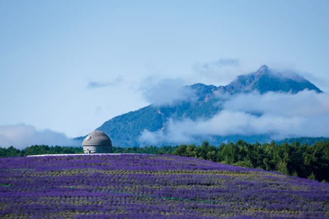 a lavender ringed mound and a buddha head in Makomanai Takino Cemetery