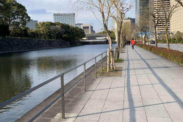 running tour of tokyo