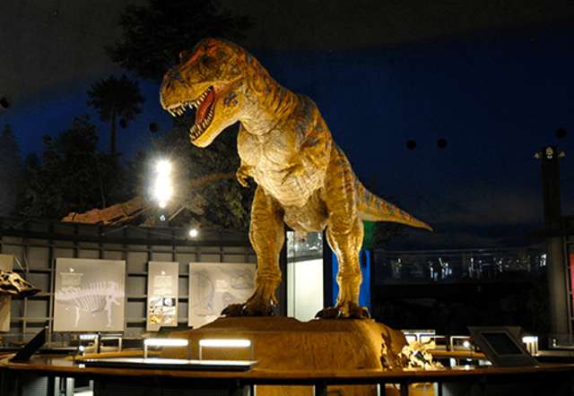 Fukui prefectural dinosaur museum
