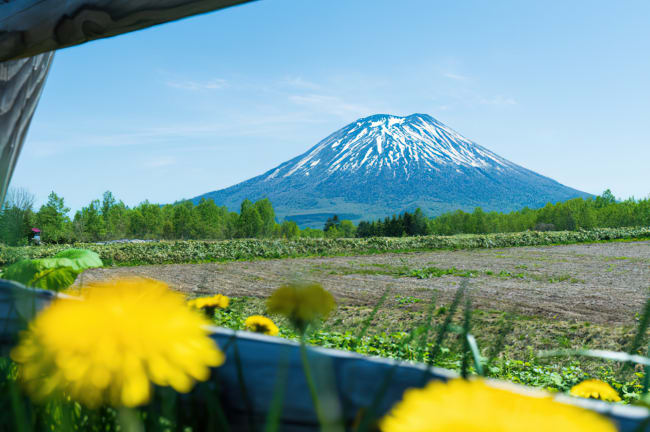 tourism community japan