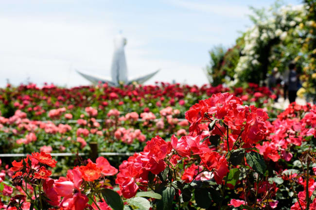 one day trip from osaka