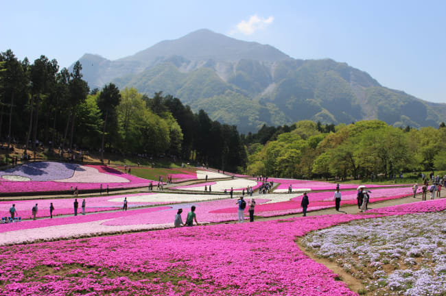 short day trips from tokyo