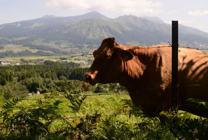 Fuel for Exploring the Great Outdoors