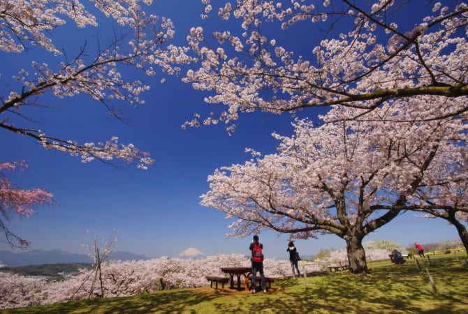 Azumayama Park, Kanagawa