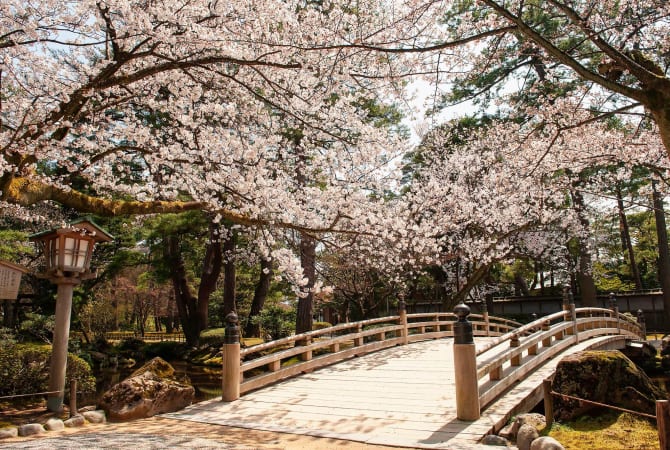 Exploring the Beauty of Ishikawa and Toyama for Muslim Travelers