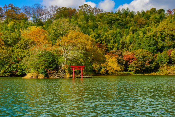 イベコレ 宗 autumn 斎宮宗】あんさんぶるスターズ!! イベコレ缶バッジ 2020 AUTUMN
