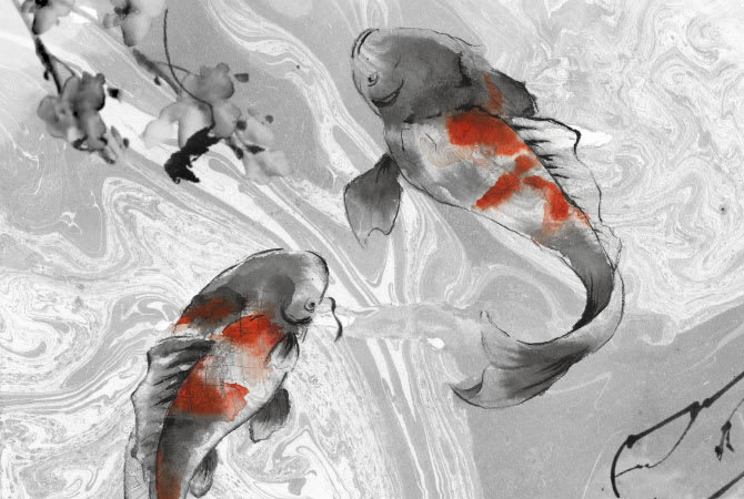 니가타 니시키고이 관광