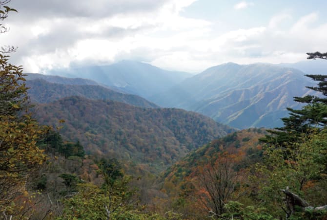 Tradition Honed in Splendid Isolation