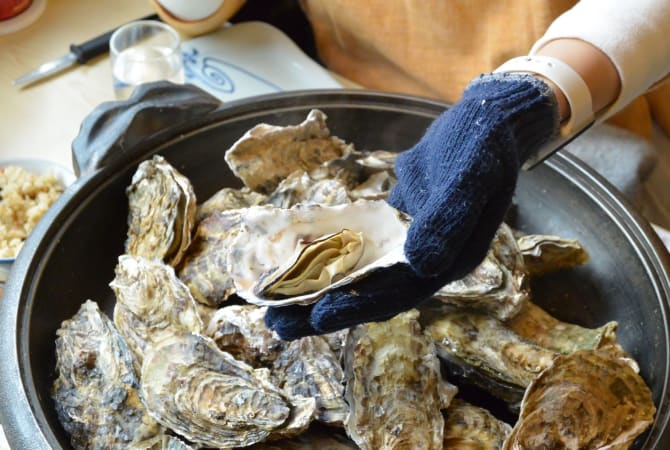 Kumihama Oysters: A Taste of Winter
