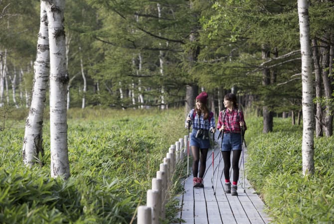 일본 삼림욕의 예술, 신린요쿠(Shinrin-yoku)