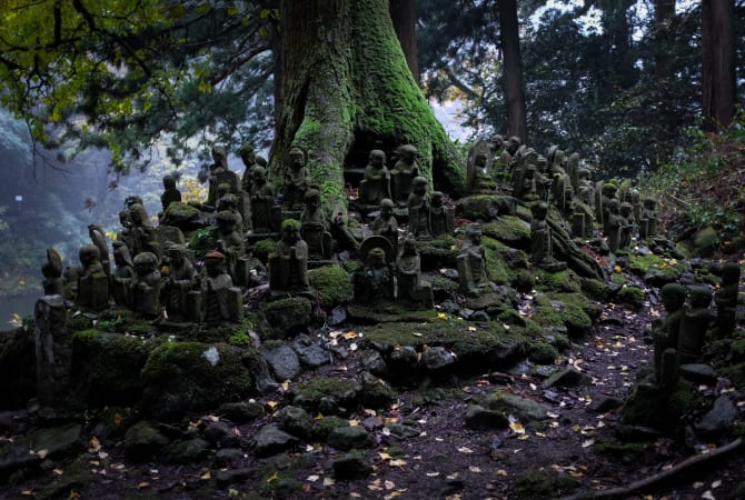 Forest Sights Around Izumo City