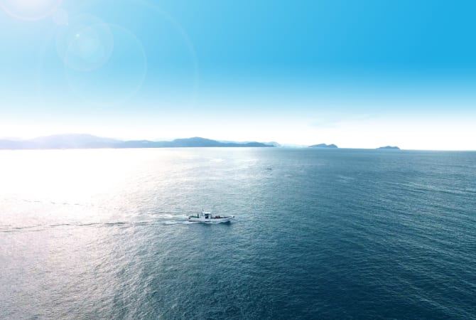 Wakanoura Pleasure Boat Tour